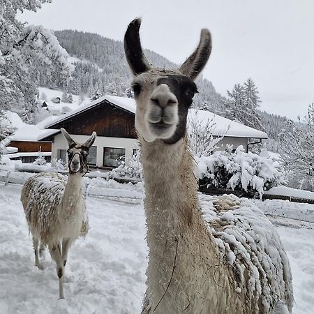 Gasthof Kirchmoar Sankt Blasen Экстерьер фото